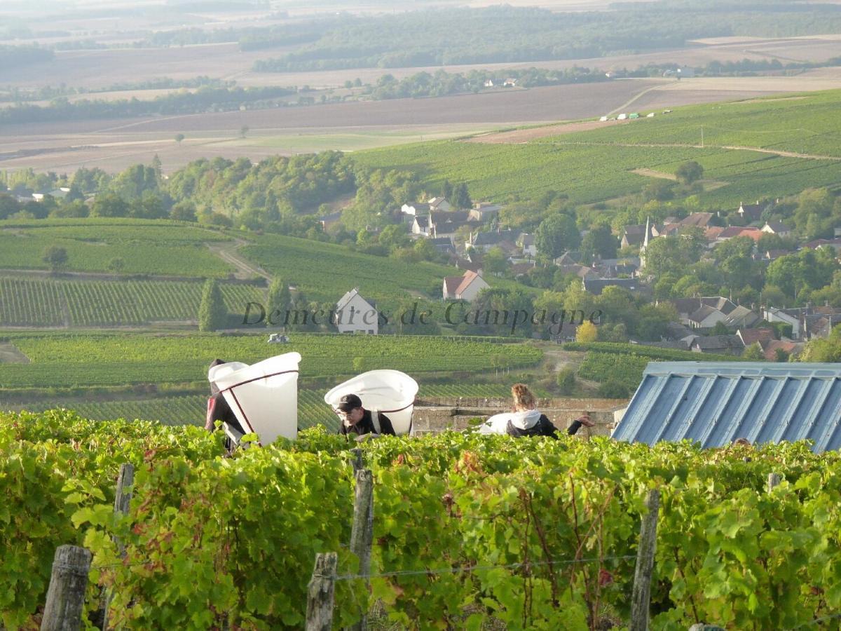 Maison Les Fossiles Sancerre Exterior photo